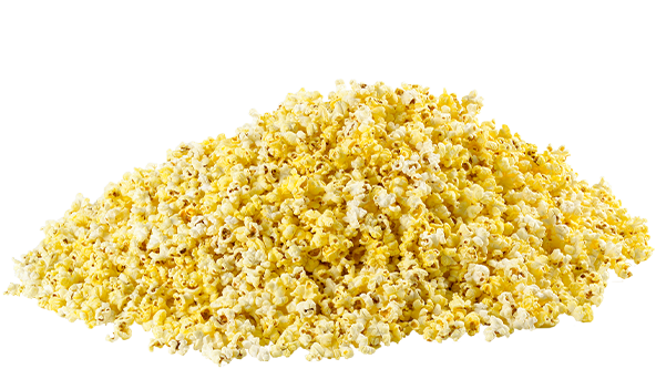 Sundlings Salted Popcorn  40 Liters box - Webshop